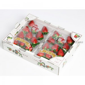 日本 奈良縣 古都華士多啤梨 碟裝 1盒2碟 2