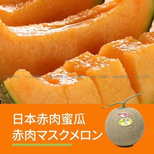 日本 宮崎/熊本/高知縣 赤肉蜜瓜 1.3kg-1.5kg