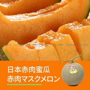 日本 宮崎/熊本/高知縣 赤肉蜜瓜 原箱 5-6玉