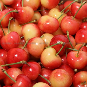 智利 金車厘子 禮盒 2-2.5kg 2