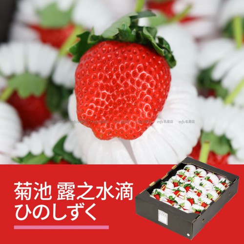 日本 菊池市 露之水滴蜜糖士多啤梨 禮盒 21-24粒