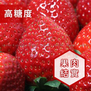 日本 京都縣 京之雫士多啤梨 碟裝 1盒2碟 2