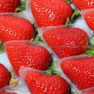 日本 德島縣 櫻花士多啤梨 禮盒 2