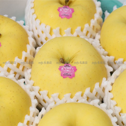 日本 岩手縣 春香之戀高糖度蘋果 10kg 原箱 36-40玉