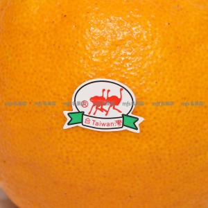 台灣 椪柑 2