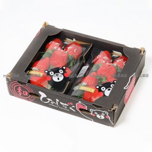 日本 熊本縣 露之水滴士多啤梨 碟裝 1盒2碟 2