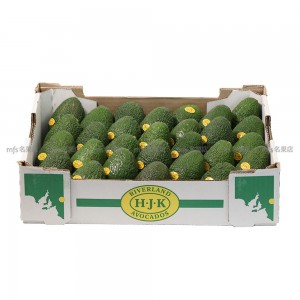 澳洲 牛油果 2個