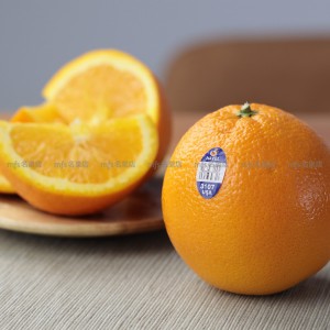 美國 蜜蜂橙 原箱 72-88個