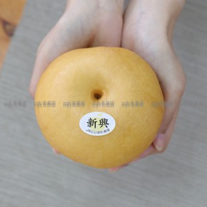 日本 新潟縣 新興梨 5kg 原箱 8-10玉 2