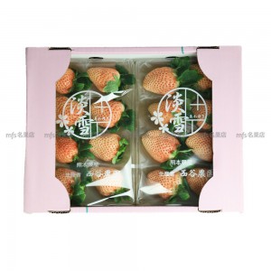 日本 佐賀/熊本縣 淡雪士多啤梨 碟裝 1盒2碟 2